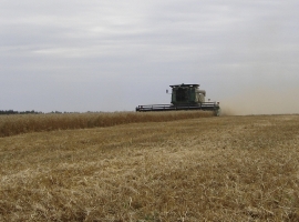 Harvest Support Russia (2)